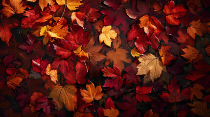 A cascade of autumnal colors - rich reds, golden yellows, burnt oranges - falling gently agnst the darkness, creating a warm and inviting gradient that heralds the arrival of fall. - obrazy, fototapety, plakaty