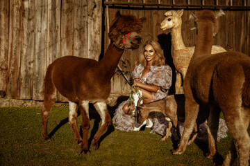 Beautiful young happy woman with cute alpacas on a spring day at the alpaca ranch. Pretty cowgirl...