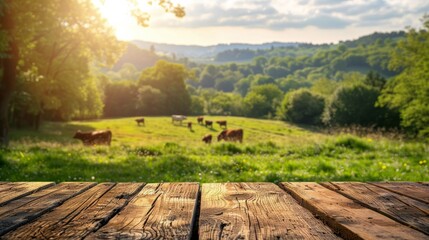 Wooden Table Overlooking Grazing Cows - obrazy, fototapety, plakaty