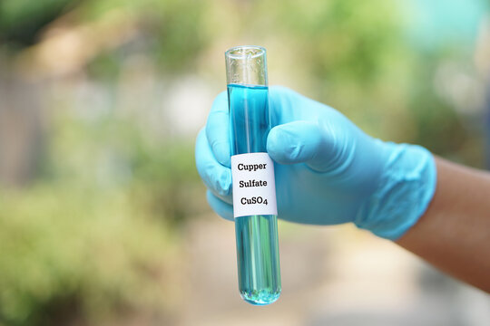 Close up hand wear blue glove, holds test tube of Copper Sulfate liquid with chemical formula CuSO4. Concept, inorganic compound substance, use as  herbicide, fungicide, or plants root killer.       