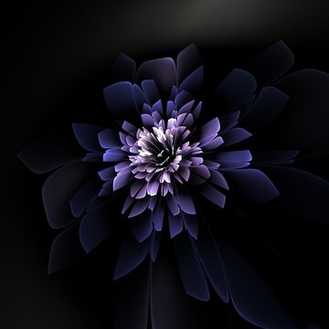 Dark fractal flower, digital artwork for creative graphic design...Fractal pattern in the shape of flowers on a black background.Abstract fractal template.