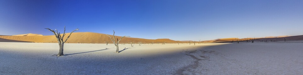 Panoramic picture of the Deadvlei salt pan in the Namib Desert with dead trees in front of red sand...