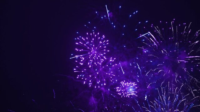 Firework show in the sky. The colors are blue and violet