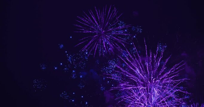 Beautiful firework in dark sky. The colors are blue and violet