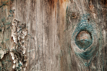 wooden texture abstraction with emerald paint