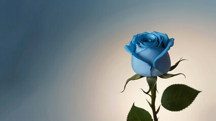 purple red blue and white rose in background withy text copy space in the middle with big empty space romantic rose background 