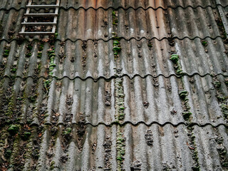 Old slate rooftop with dirt, moss and light snow and small stairs. Weathered by time surface of a home roof. Dark mood.