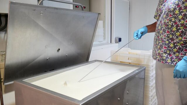 Artisan Cheesemaker Stirring Milk in Stainless Steel Tank During Production Process