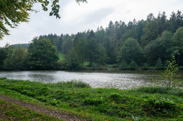 Small lake in the forest - 773873122