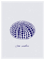 White Sea Urchin with blue spots. Vintage style poster. Hand drawn graphic design collection. Vector illustration on a colorful background.