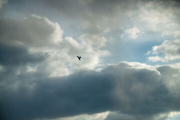 a photo of a cloudy sky. Sky background. natural clouds.