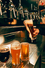 Photo of bartender pouring light, foamy beer from tap into pint glass at bar with multiple beer...