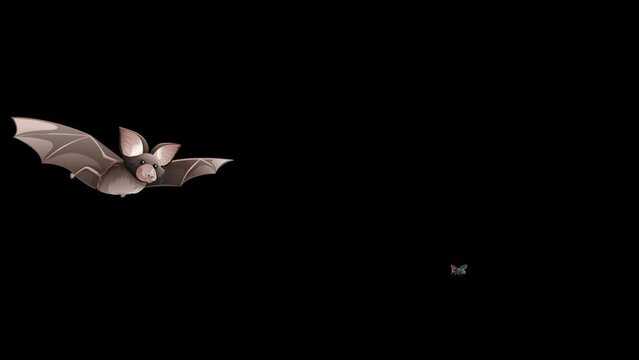 Echolocation in Flight: A Bat's Journey