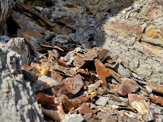 Geodesy. Stone texture. The rock is brown and red. Mineral background. Design from natural materials.