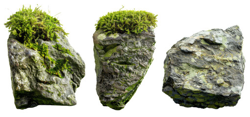 mossy stone isolated on transparent background