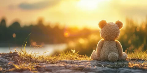 Rolgordijnen Delight in the solitude of a plush teddy bear watching the sunset with vast copy space. AI generative enhancements add depth. © น้ำฝน สามารถ