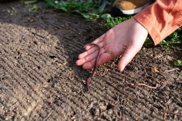 Child's hand with a worm