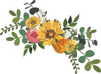 Sunflower illustration on transparent background.
