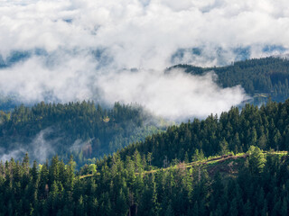 View over forest covered hills with drifting clouds - 773887381
