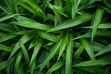 Kissenbezug Full green grass blades for a natural, fresh, close-up background. © keratikant