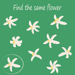 Find the samFind the same lemon flower. Worksheet for children's activity book. Cartoon vector illustration.e lemon flower.