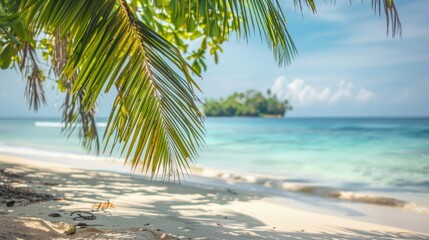 Beach Background. Tropical Island with Palm Trees on Sandy Shoreline