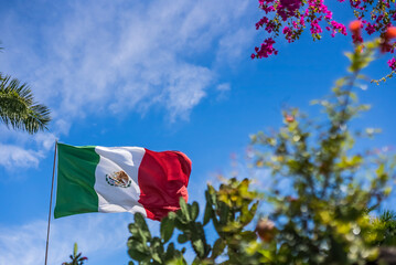 BANDERA DE MÉXICO NOPALES