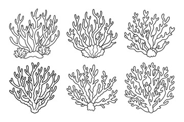 Set of coral reefs or seaweeds, underwater plants. Set of sea coral icons. Sketch, illustration. Vector