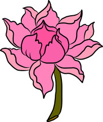 Hand drawn lotus flower isolate vector set.Hand drawn romantic beautiful line art of Lotus,Hand drawn lotus flower isolate vector set