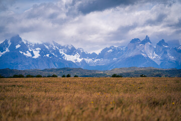 Los Cuernos mountain and field as foreground (Torres del Paine, patagonia, chile)