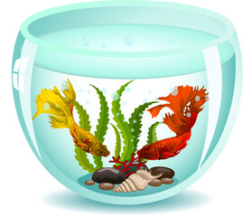 Aquarium with beautiful fish.Vector illustration with goldfish in a glass aquarium.