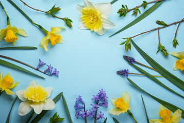 Spring flowers flat lay frame composition on a blue background with copy space. Daffodils, hyacinths, muscari and leaves .Flat lay, top view. Space for text. - obrazy, fototapety, plakaty
