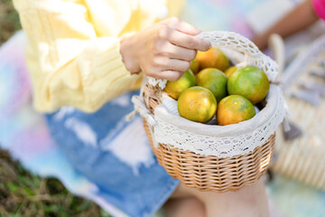 selective focus fresh tangerines in a modern white woven basket in the hands of a young woman Have a picnic in the orchard