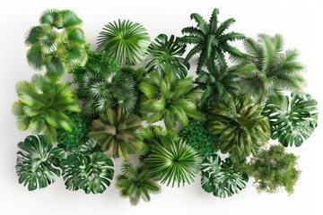 A lush forest canopy. the dense greenery unfolds in layers of texture and color. Generative AI