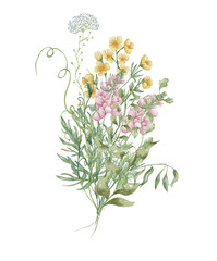Watercolor wildflowers bouquet. Botanical arrangement of wild flowers and herbs. Summer floral composition