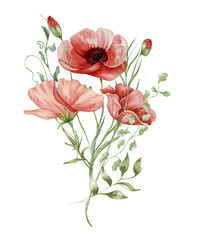Watercolor poppy bouquet. Wildflowers arrangement purple and red poppy flowers with herbs. Summer floral composition