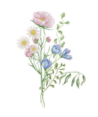 Watercolor wildflowers bouquet. Botanical arrangement of wild flowers and herbs. Summer floral composition