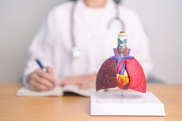 Doctor with Respiratory system anatomy for Diseases. Lung Cancer, Asthma, Chronic Obstructive...