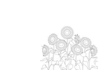 ひまわりの線画　背景素材　フレーム