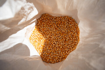 selective focus many yellow corn kernels in a sack Dried corn seeds in the field Beautiful grown...