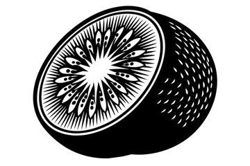 kiwifruit-vector-illustration-whit-background