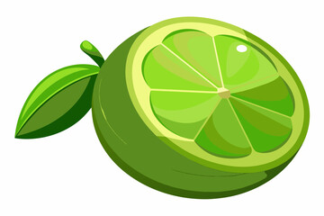 lime-vector-illustration-whit-background