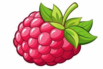 raspberry-vector-illustration
