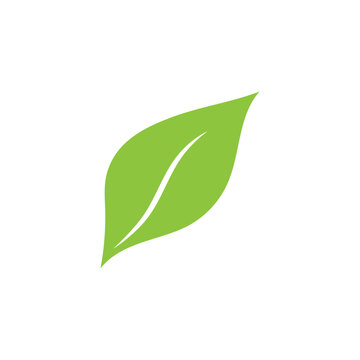 Leaf green logo and symbol vector