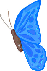 Butterfly illustration on transparent background.