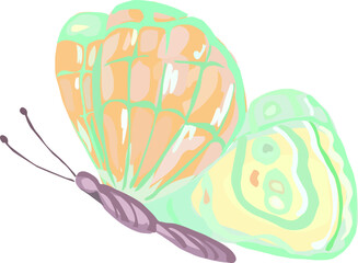 Butterfly illustration on transparent background.