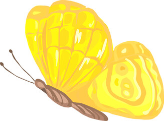 Butterfly illustration on transparent background.