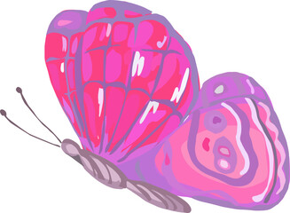 Butterfly illustration on transparent background.