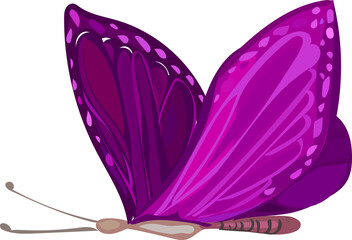 Butterfly illustration on transparent background.