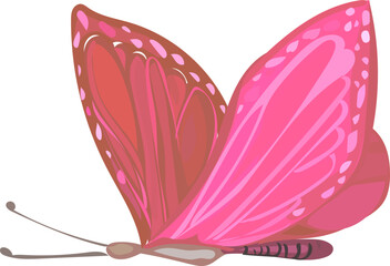 Butterfly illustration on transparent background.